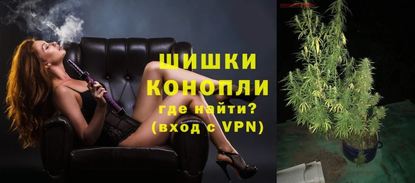 твердый Бородино