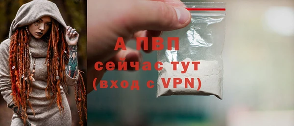 твердый Бородино