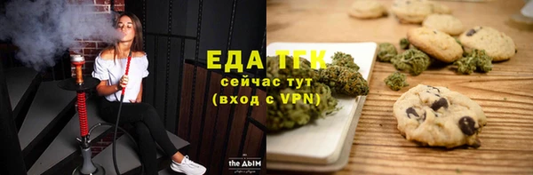 твердый Бородино