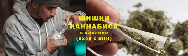 твердый Бородино