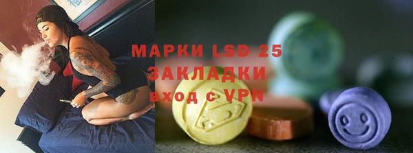 твердый Бородино