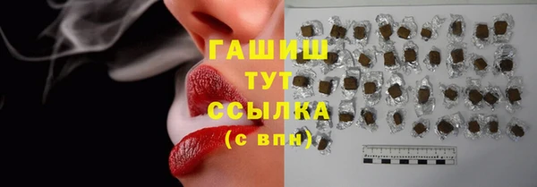 твердый Бородино