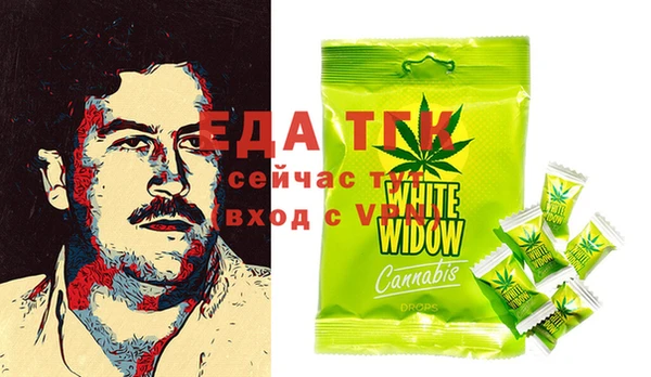 твердый Бородино