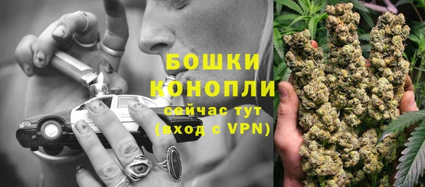 твердый Бородино