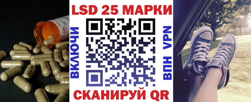 LSD-25 экстази кислота  наркота  Новоузенск 