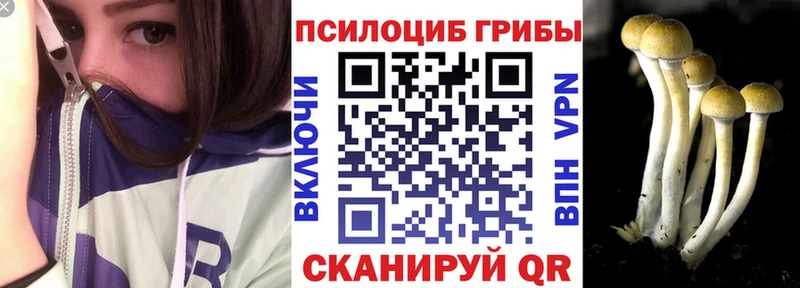 продажа наркотиков  Новоузенск  Галлюциногенные грибы Magic Shrooms 